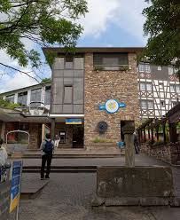 Der herrliche panoramablick auf die rüdesheimer altstadt und den silber glänzenden rhein mit seinen grünen inseln macht das ruhige schweben über die weinberge zu einem besonderen erlebnis. Rudesheim Am Rhein Wikiwand