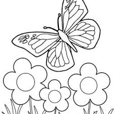 With this page with butterfly coloring pages you get free sheets with butterfly drawings that you can color just the way you want to. 8 Wonderful Butterfly Coloring Pages For Kids Mitraland