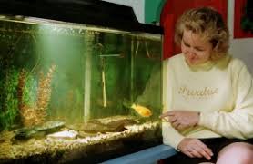 The bedroom is a protection area inside the place where you live and if it isn't well oriented or shows disturbing 1. Benefits Of A Fish Tank And The Science Feng Shui Behind It