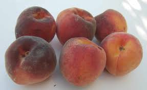 Check spelling or type a new query. Coral Star Peaches Eat Like No One Else
