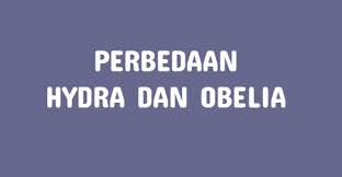 Pin Di Blog