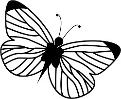 Download Black And White Flower 981 800 Transprent Png Free Download Butterfly Moths And Butterflies Flower Cleanpng Kisspng PSD Mockup Templates