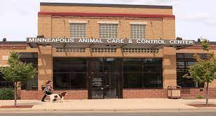 Since mars does not have a shelter facility, all of our dogs need caring, committed and qualified people to house them and help them take the next steps in their lives. Pets For Adoption At Minneapolis Animal Care And Control In Minneapolis Mn Petfinder
