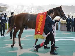 Definition of 阪神大震災, meaning of 阪神大震災 in japanese: ã‚·ãƒ¥ãƒ´ã‚¡ãƒ«ã‚°ãƒ©ãƒ³ Wikiwand