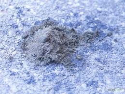 3 Ways To Clean Up Oil Spills In A Garage Oil Spill Oil Spill Clean Up Garage Steps
