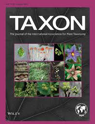 Image result for Embelia welwitschii