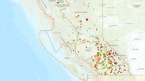 There are currently 303 wildfires burning in b.c., the largest of which is the sparks lake wildfire north of kamloops. 1 230 Wildfires 4 250 Square Kilometres Of Land Burned In B C Since April 1 Ctv News