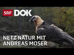 Dengan cinta kita bisa merasakan bahagia 'tanpa sebab' dan rasa syukur yang lebih. Cerpen Cinta Kahwin Paksa Dengan Abang Angkat