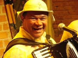 Dominguinhos has already established success like a musician, both single so being a composer, dominguinhos provides produced strikes recorded by serves like maria bethânia, gilberto gil, chico. Dominguinhos Alchetron The Free Social Encyclopedia