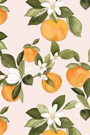 Colorful Fabrics Digitally Printed By Spoonflower Orange Blossom On Pink Orange Wallpaper Fruit Illustration Orange Blossom