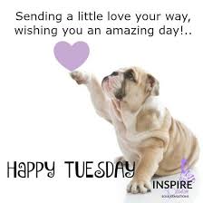 These funny tuesday quotes are a great way to start a workday at the front end of the week. Tuesday Morning Greetings Funny Pestcare Jakarta