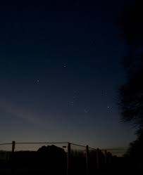 If you are looking orion stars apk and want to download it then you have come to the right website. 500 Orion Constellation Pictures Download Free Images On Unsplash