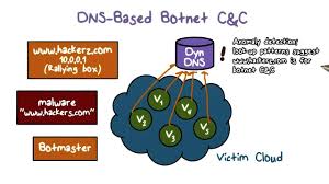 Dns Based Botnet C C Youtube