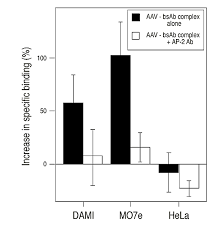 Image result for White 1999 AAV