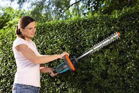 Hecke Schneiden Selbst De