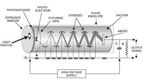 The glass tube of a photomultiplier has a substantial number of contact pins for all the electrodes on they can exhibit a particularly high detection bandwidth. Light Detectors Pmts And Apds Detecting And Diagnosing Light