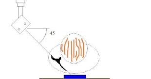Pin On Radiographic Positioning