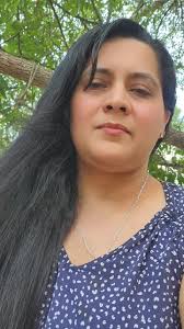 Understanding Creator Search Insights in Digital Content