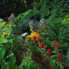 I know here in michigan, we are still a little bit away from seeing our beautiful butterflies, but i just can't wait for my first sighting always a favorite of mine as well as the butterflies in my summer garden. John S Butterfly Garden In Michigan Finegardening