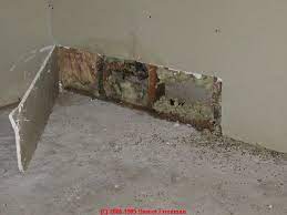 Drill a small hole into a wall recently affected by water or moisture. Toxic Mold Toxic Gas Testing Methods Mold Investigation Reports Compared Criticized Recommended