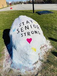 Senioritis is a colloquial term for students who are about to graduate who exhibit symptoms of distraction. How It Feels To Be A High School Senior During The Coronavirus Quarantine Cleveland Com