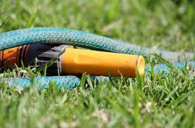 Maybe you would like to learn more about one of these? Wie Kann Man Mit Einem Paw Tick Auf Zimmerpflanzen Zu Hause Umgehen Werkzeuge Kampfen Tick Acarizide Und Insektoacarizide