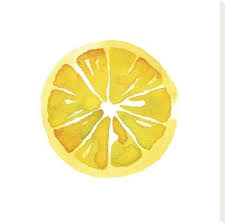 Stretched Canvas Print Citrus Slice By Kristine Hegre 24x24in Lemon Art Lemon Painting Watercolor Paintings For Beginners