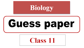The ability to speak english will be a great blessing in your life. 1st Year Biology Guess 2021 Pdf Download Zahid Notes