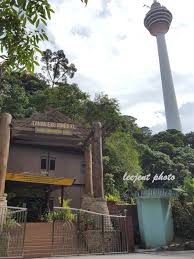 Tetapi tak ramai tahu dalam kawasan kuala lumpur juga ada kawasan hijau dan hutan simpan. Syukur Aku Masih Di Sini Jungle Tracking Di Bukit Nanas