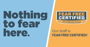 We did not find results for: Fear Free Veterinarians Ipswich Srh Veterinary Services