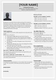 Chartered Accountant Resume Templates For Ms Word Word In 2021 Accountant Cv Chartered Accountant Accountant Resume