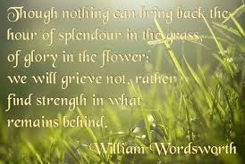 Pin By Lorraine On Life S Little Big Lessons Splendour In The Grass Poems Image Quotes