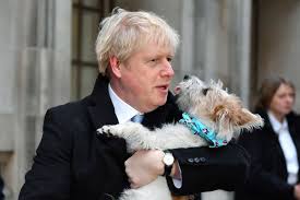 British Pm Johnson To Win A Majority Of 86 Exit Poll Https Ift Tt 2e9rvns Exit Poll Johnson Government