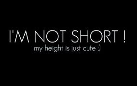 40 top funny quotes short girl quotes short funny quotes short humor