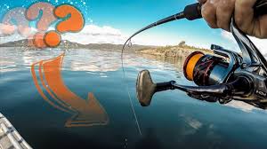 Check spelling or type a new query. Wir Fangen Sie Alle Allround Angeln In Norwegen Auf Moglichst Viele Fischarten Die Challenge Youtube