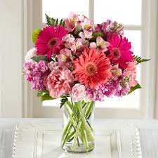 Its good as gold 7 day satisfaction guarantee assures clients. Flower Delivery To Brazil Same Day Flower Delivery To Brazil Brazil Florist