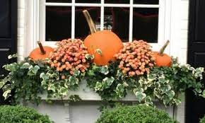 We did not find results for: 5 Things To Do With Mums English Gardens