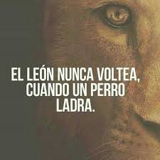 Photos At Costa Rica Quotes Inspirational Quotes Me Quotes