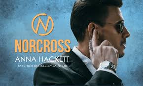 Cover Reveal: The Investigator