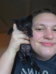 Caring for rescued animals with health issues