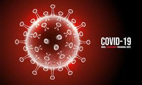 We did not find results for: Latest Update On Covid 19 Cases In North Bay Parry Sound Health Unit Area