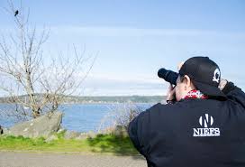 Most popular shailene woodley photos, ranked by our visitors. Campbell River Crowtographer Gaining Huge Social Media Following Vancouver Island Free Daily