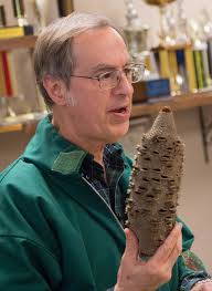 Echos From the “BAT” Cave