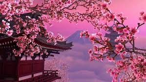 Download 460 wallpaper hp oppo bunga gambar hd terbaik dengan. Background Bunga Sakura Hd 1034x776 Wallpaper Teahub Io