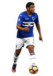 Kariyer istatistiklerini (forma giydiği maç, gol, kartlar) ve transfer geçmişini görüntüleyin. Luis Muriel Soccer Wiki Fur Die Fans Von Den Fans