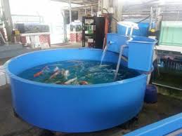 Shopee malaysia is a leading online shopping site based in malaysia that. Fish Tank Almost Anything For Sale In Malaysia Mudah My