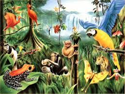 Far in 1972, about 500 species of golden lion tamarins lived in the amazon area. Rainforests Animal African Rainforests Animal Of The Rainforests Jpg Rainforests Stuff Google Search Tropical Rainforests Rain Forests Things Link Love