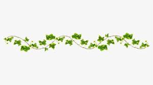 Pngkit selects 41 hd vine plant png images for free download. Vines Png Images Free Transparent Vines Download Kindpng