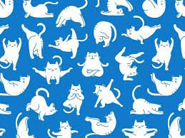 21 Epic Dribbble Shots To Set As Your Zoom Background Cat Yoga Cat Pattern Cat Pattern Wallpaper