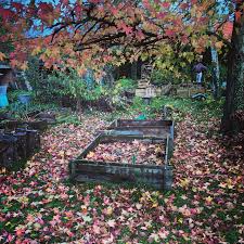 Pourquoi ramasser les feuilles mortes de votre jardin ? Epingle Sur Terre Avoir Une Bonne Terre Pour Jardiner